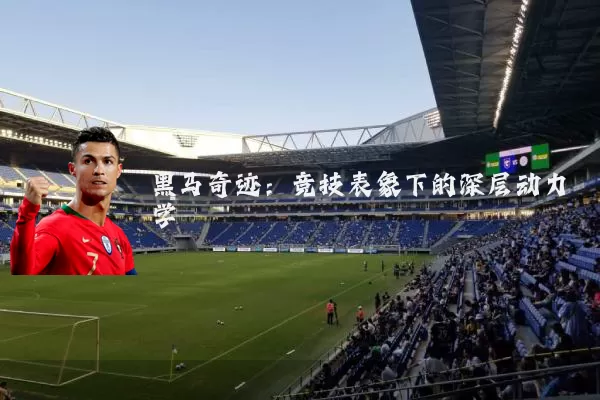 黑马奇迹:竞技表象下的深层动力学